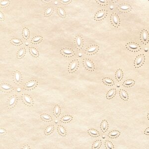 Fix Papel Cartao Indiano Feito A Mao 56x38