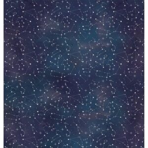 Litoarte Scrapbook Dupla Face Meu Signo